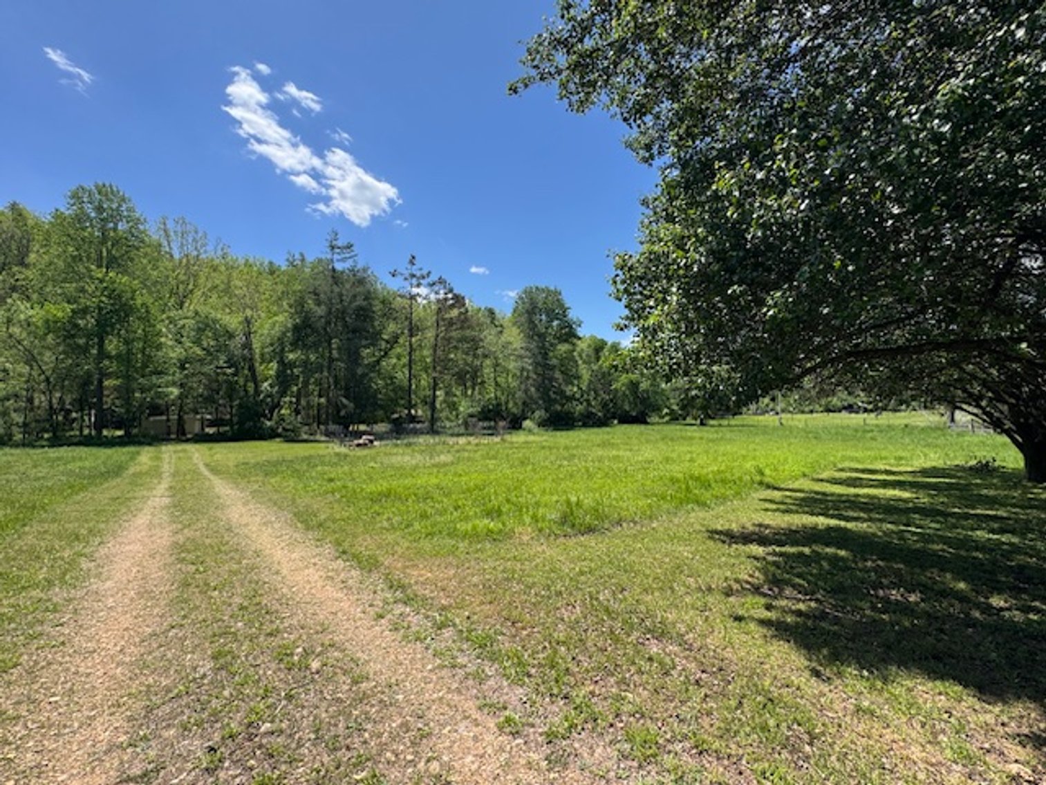 Image for Creekside Haven - Cabin on Bells Branch Creek w/ 3.76 acres