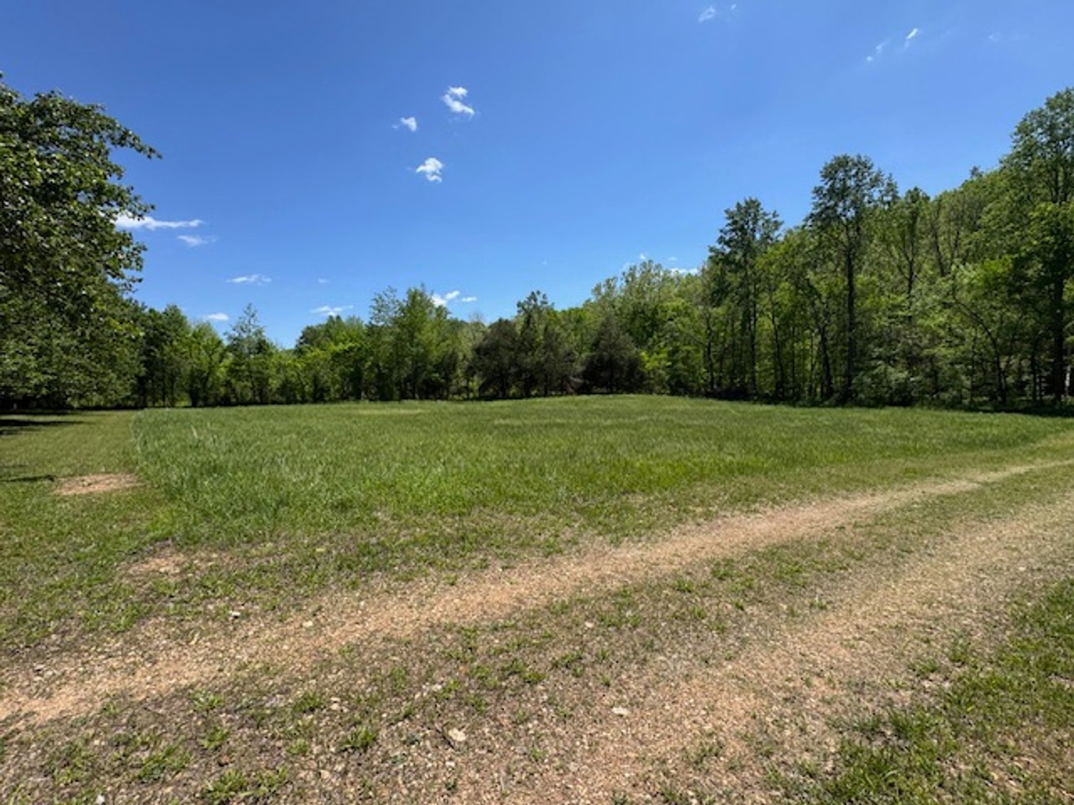 Image for Creekside Haven - Cabin on Bells Branch Creek w/ 3.76 acres