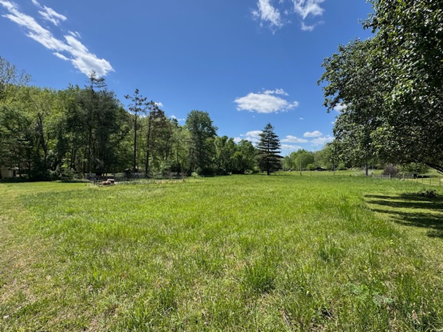 Image for Creekside Haven - Cabin on Bells Branch Creek w/ 3.76 acres