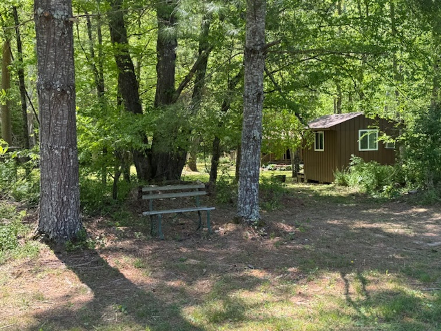 Image for Creekside Haven - Cabin on Bells Branch Creek w/ 3.76 acres