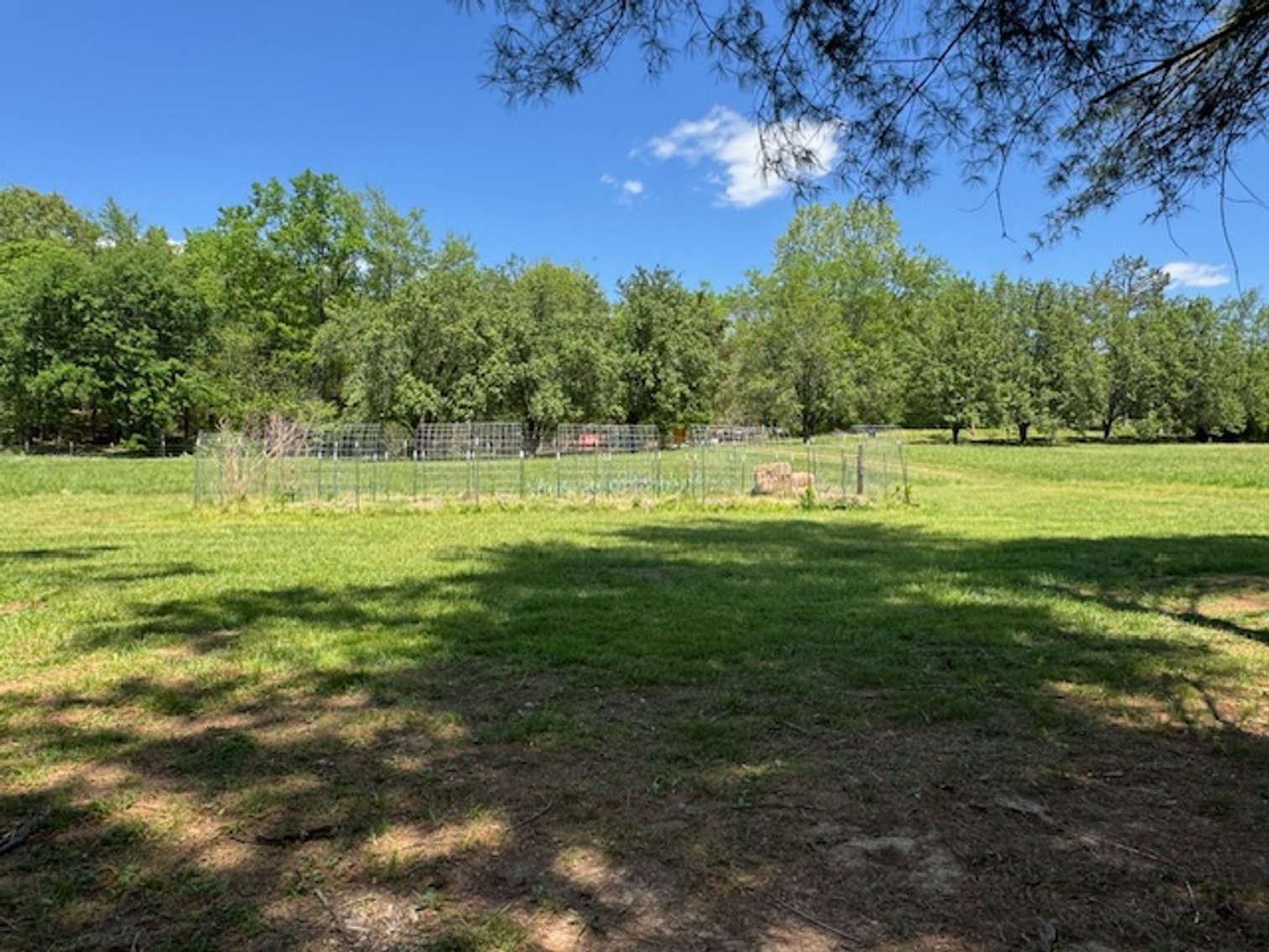 Image for Creekside Haven - Cabin on Bells Branch Creek w/ 3.76 acres