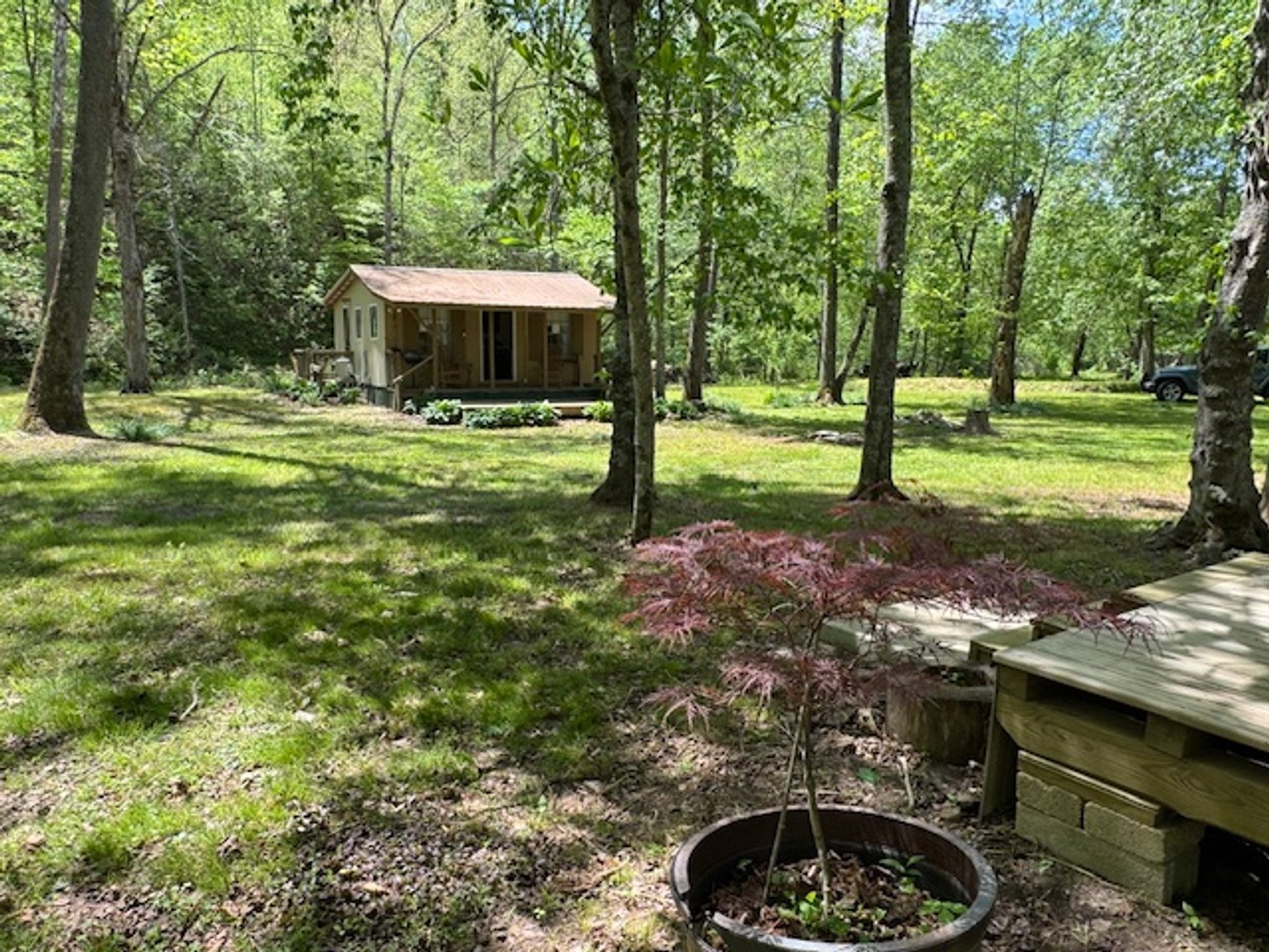 Image for Creekside Haven - Cabin on Bells Branch Creek w/ 3.76 acres