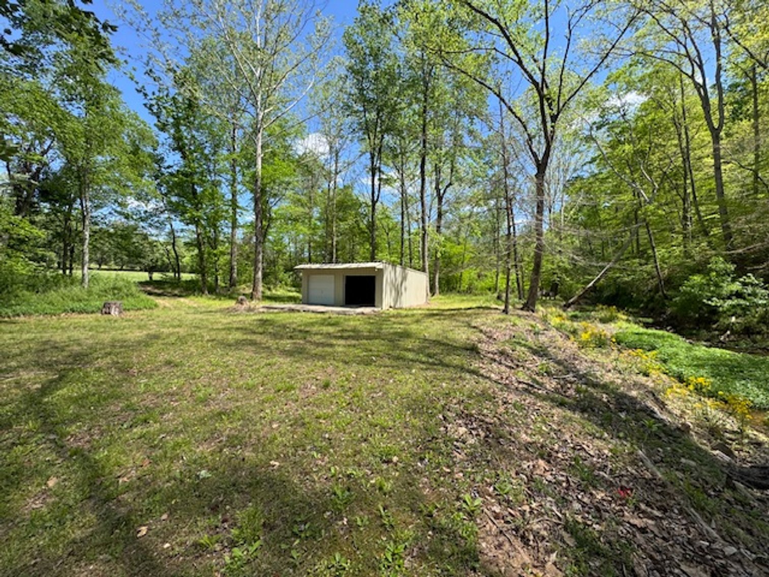 Image for Creekside Haven - Cabin on Bells Branch Creek w/ 3.76 acres
