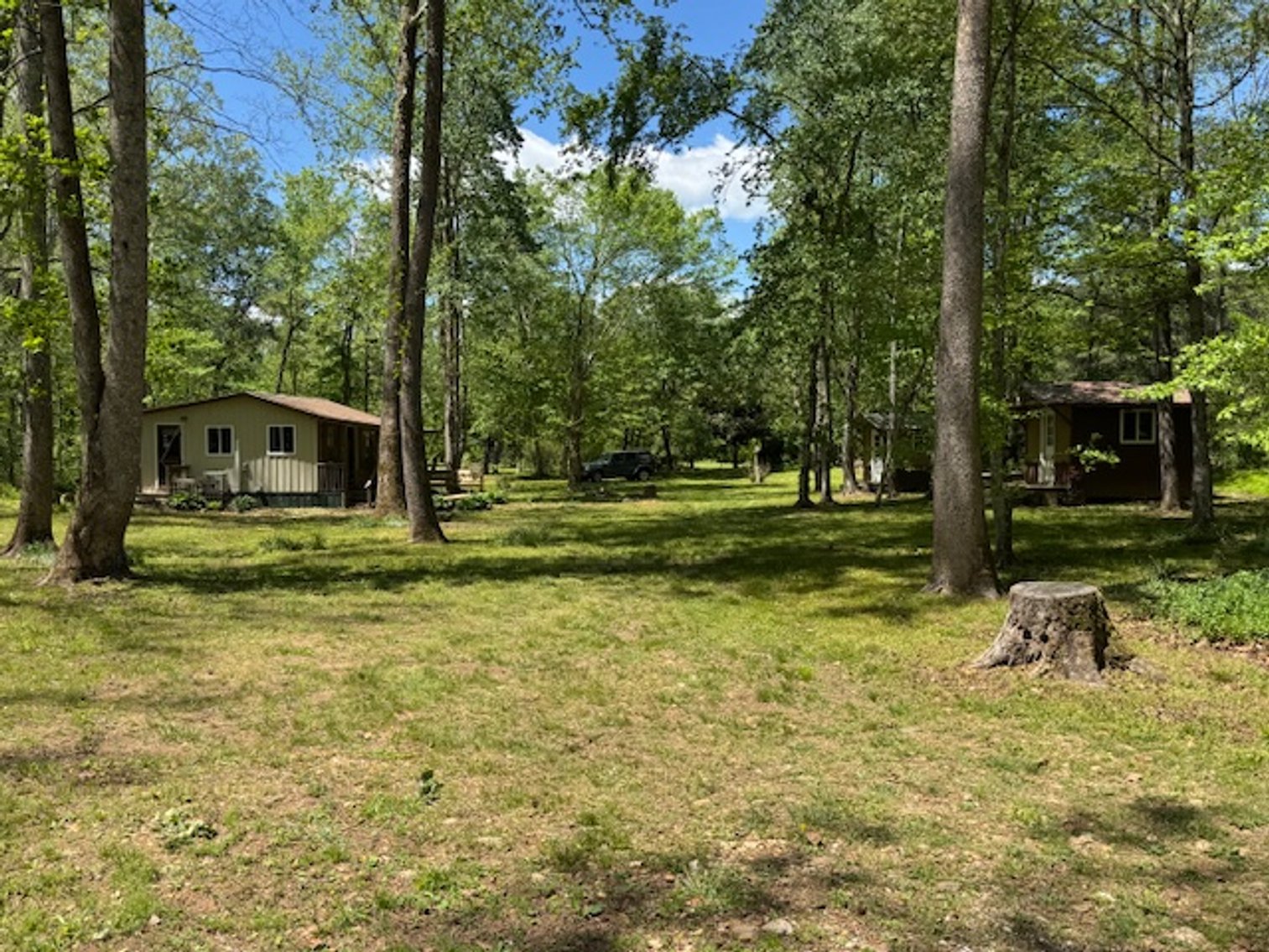 Image for Creekside Haven - Cabin on Bells Branch Creek w/ 3.76 acres