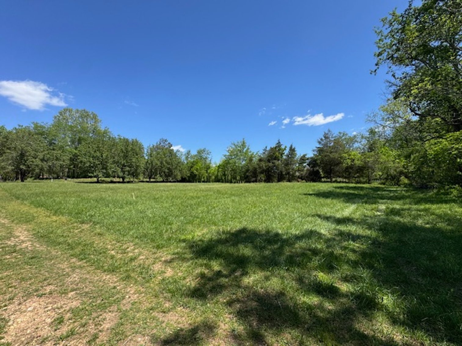 Image for Creekside Haven - Cabin on Bells Branch Creek w/ 3.76 acres