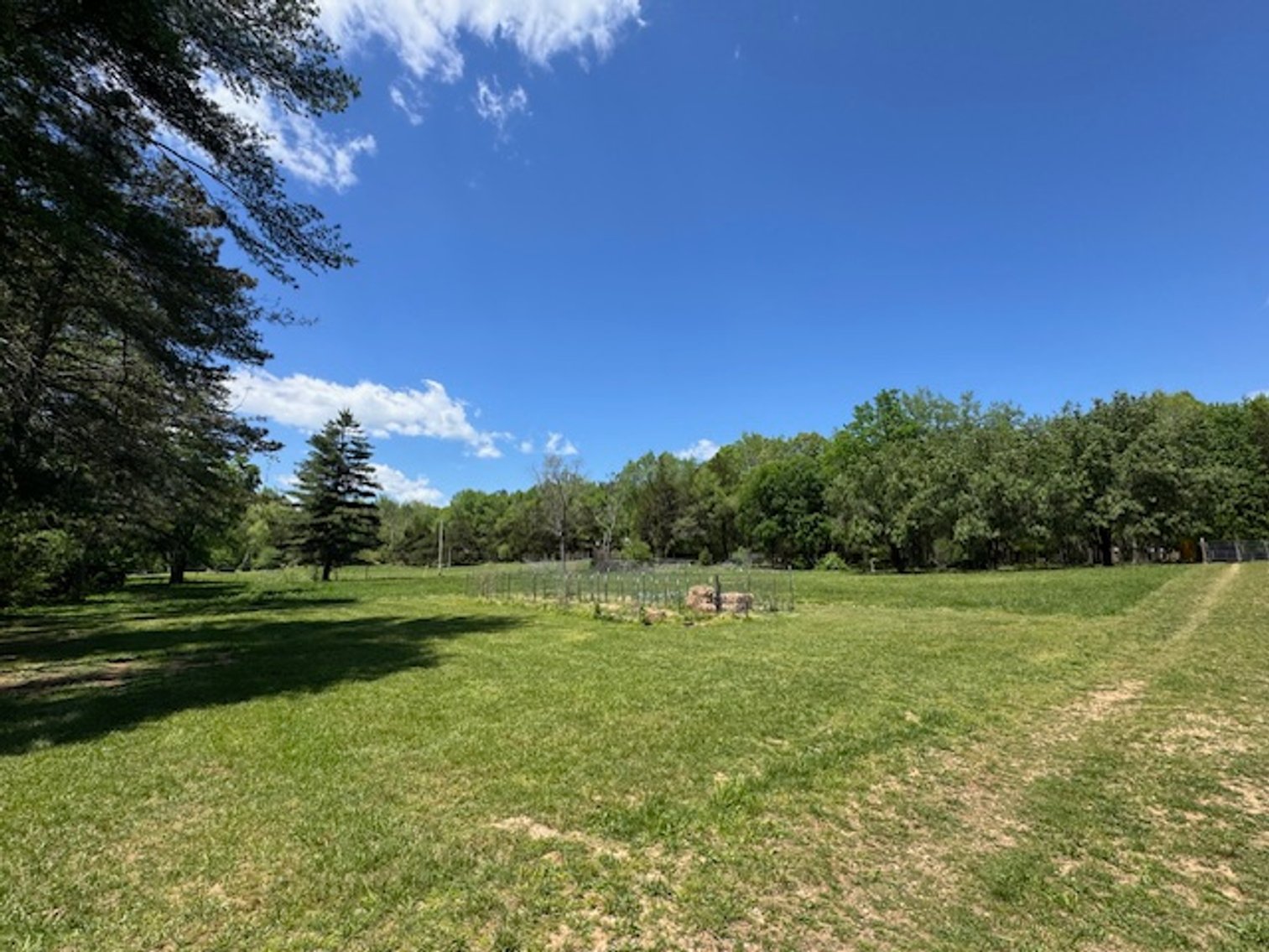 Image for Creekside Haven - Cabin on Bells Branch Creek w/ 3.76 acres