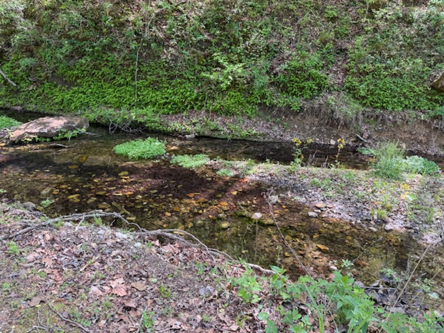 Image for Creekside Haven - Cabin on Bells Branch Creek w/ 3.76 acres