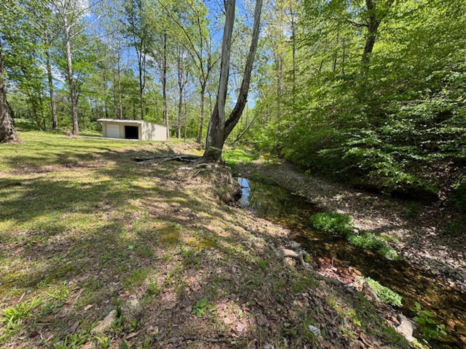 Image for Creekside Haven - Cabin on Bells Branch Creek w/ 3.76 acres