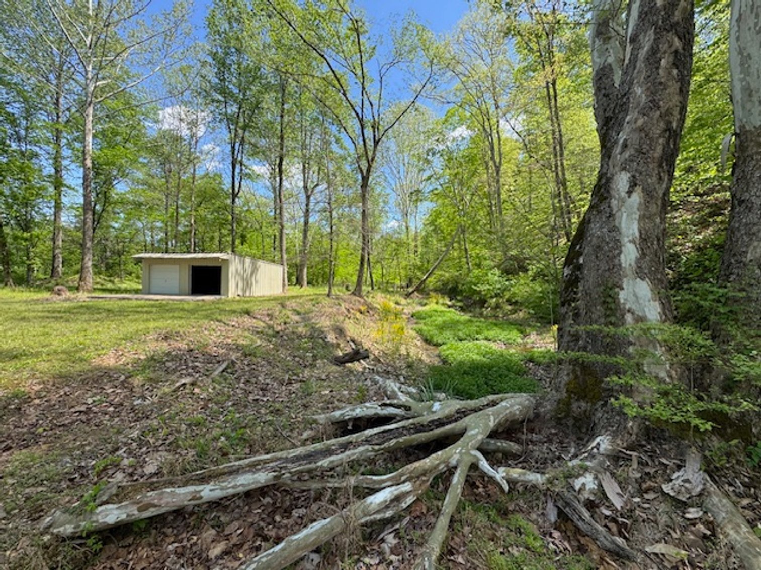 Image for Creekside Haven - Cabin on Bells Branch Creek w/ 3.76 acres