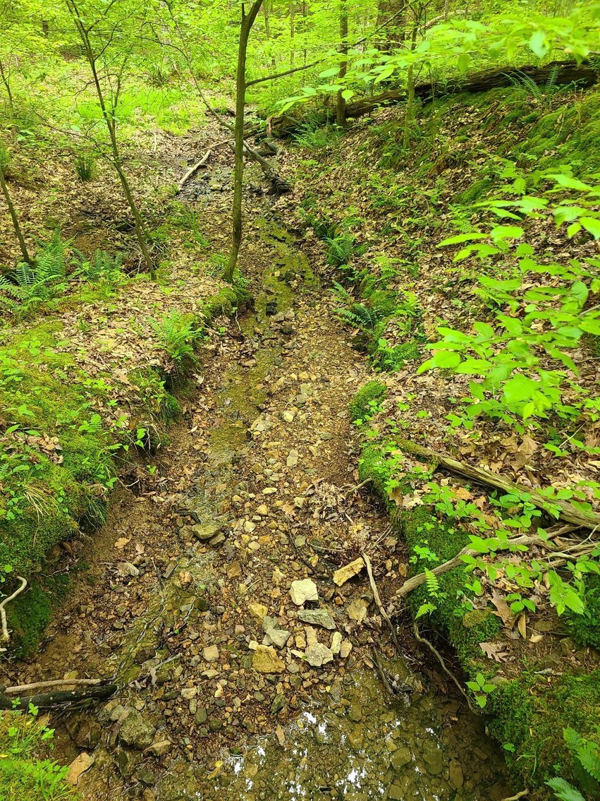 Image for 5 Acres in the Leipers Fork area - Davis Hollow Road