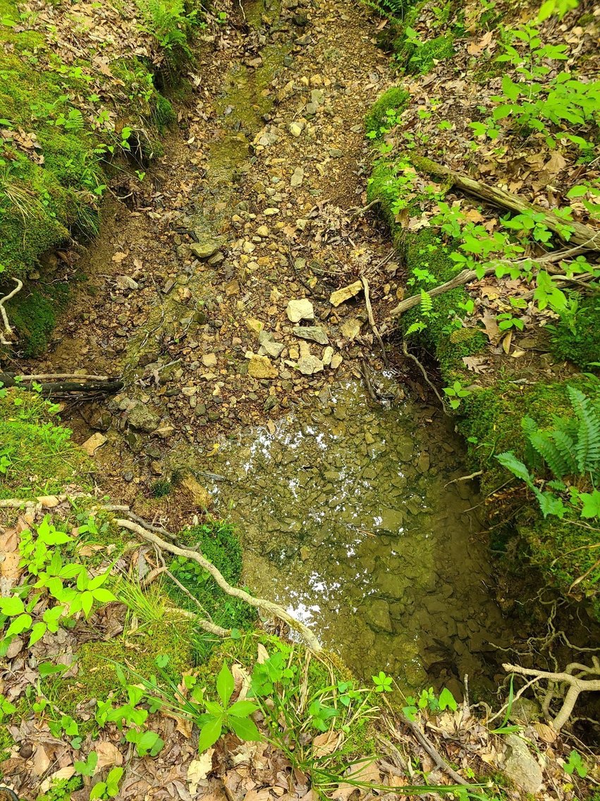 Image for 5 Acres in the Leipers Fork area - Davis Hollow Road