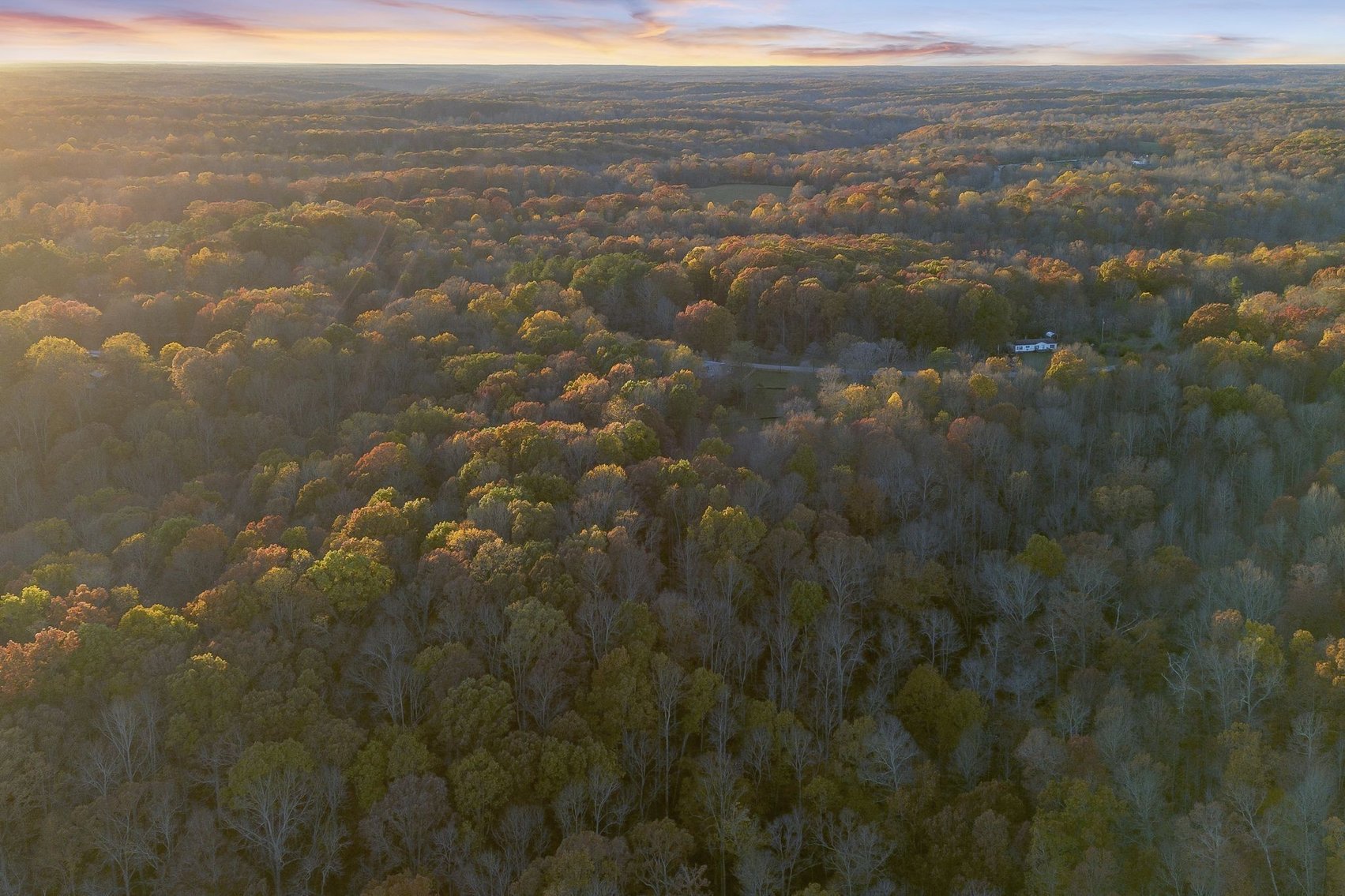 Image for 5 Acres in the Leipers Fork area - Davis Hollow Road