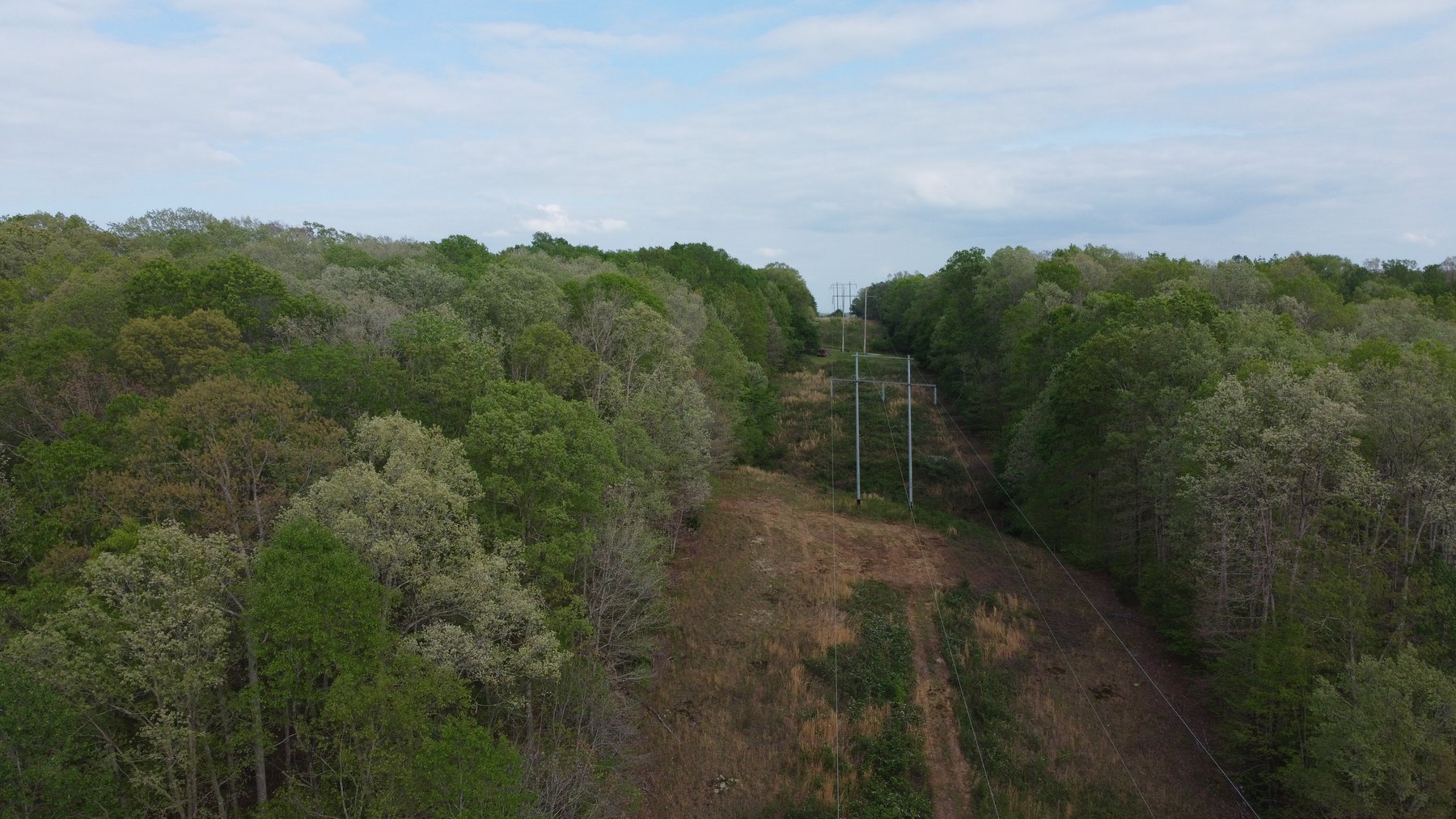 Image for 8 acres just off Hwy 50 on Moss Hollow Road