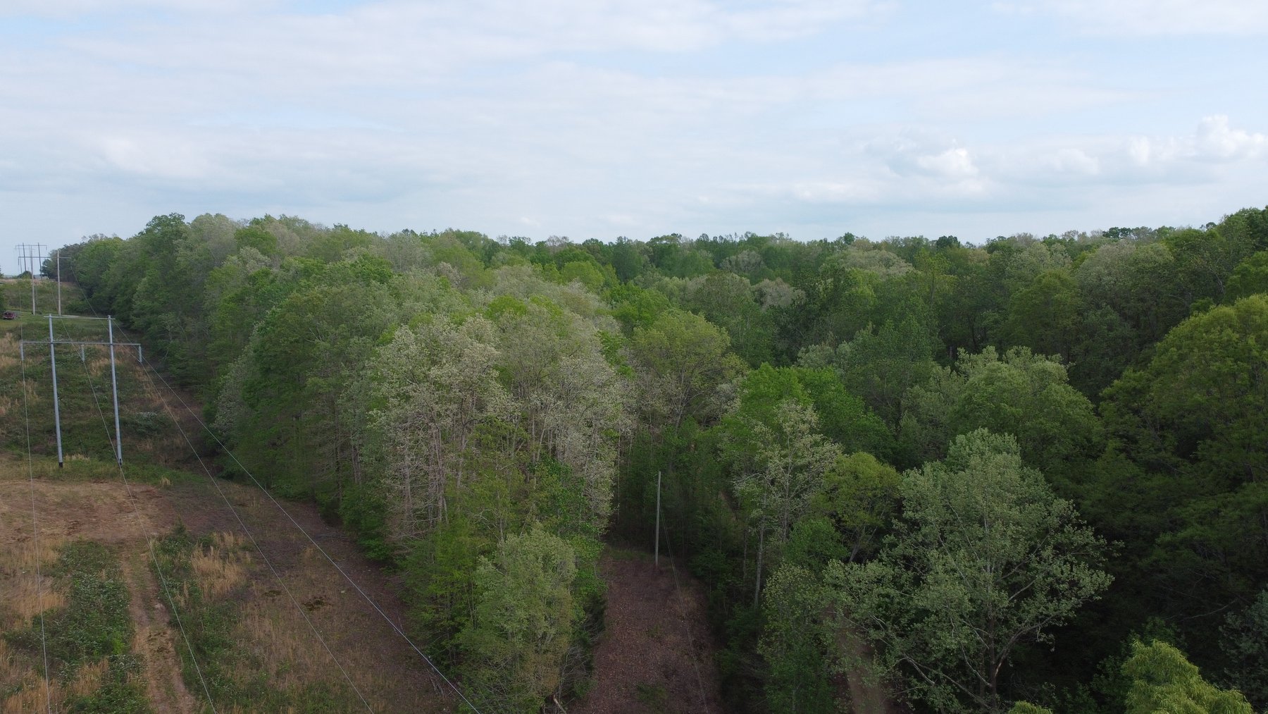 Image for 8 acres just off Hwy 50 on Moss Hollow Road