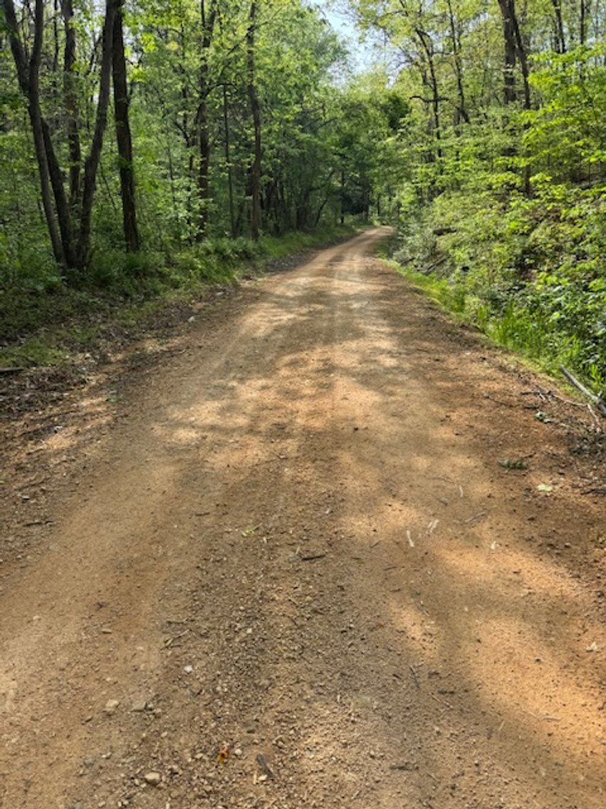 Image for 8 acres just off Hwy 50 on Moss Hollow Road