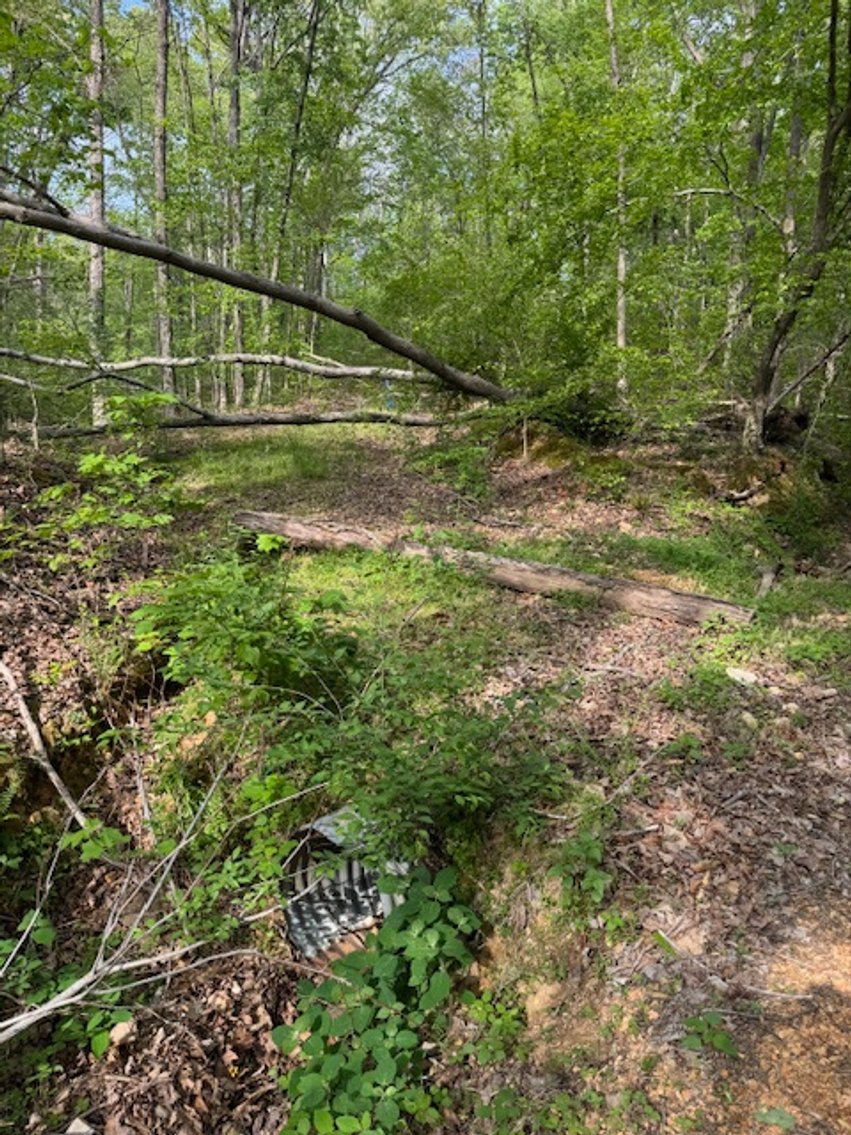 Image for 8 acres just off Hwy 50 on Moss Hollow Road