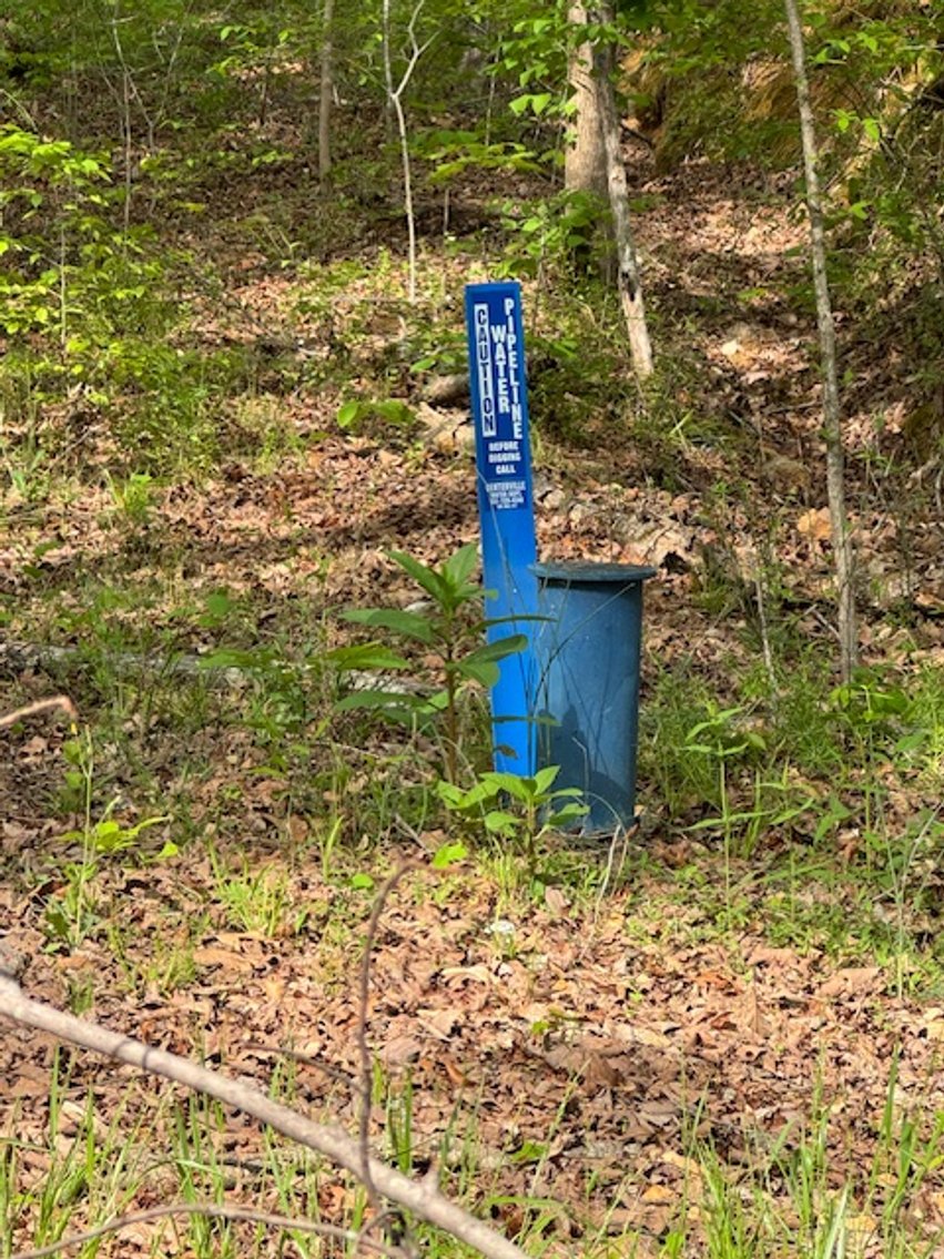 Image for 8 acres just off Hwy 50 on Moss Hollow Road