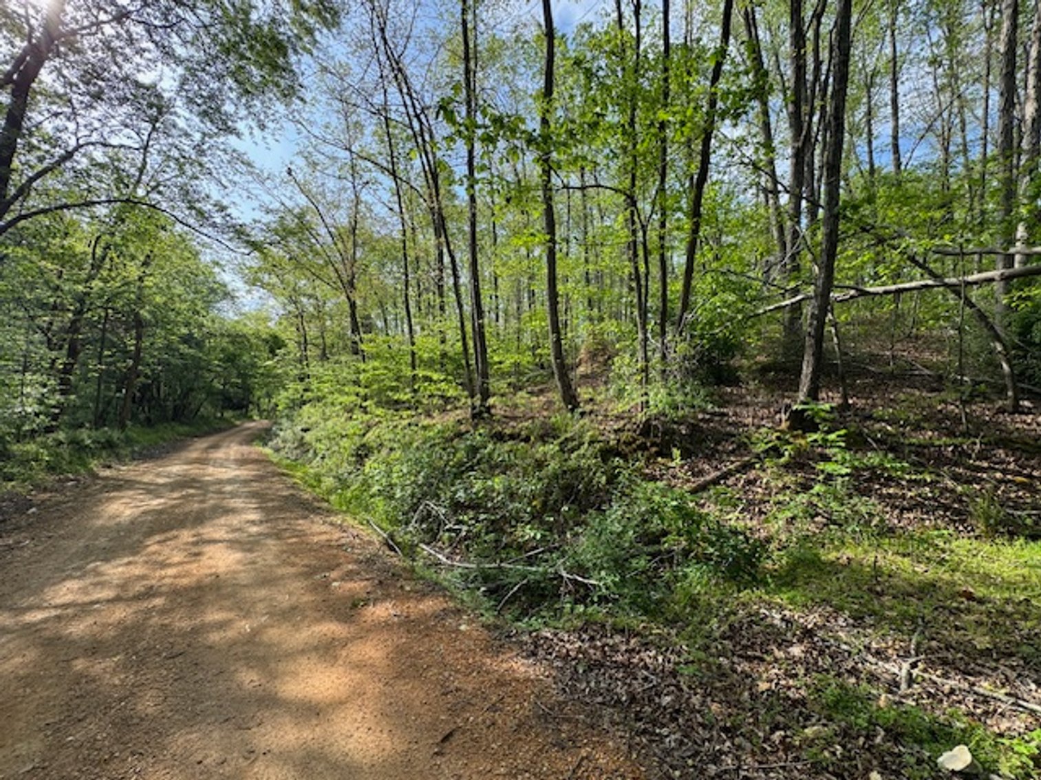 Image for 8 acres just off Hwy 50 on Moss Hollow Road