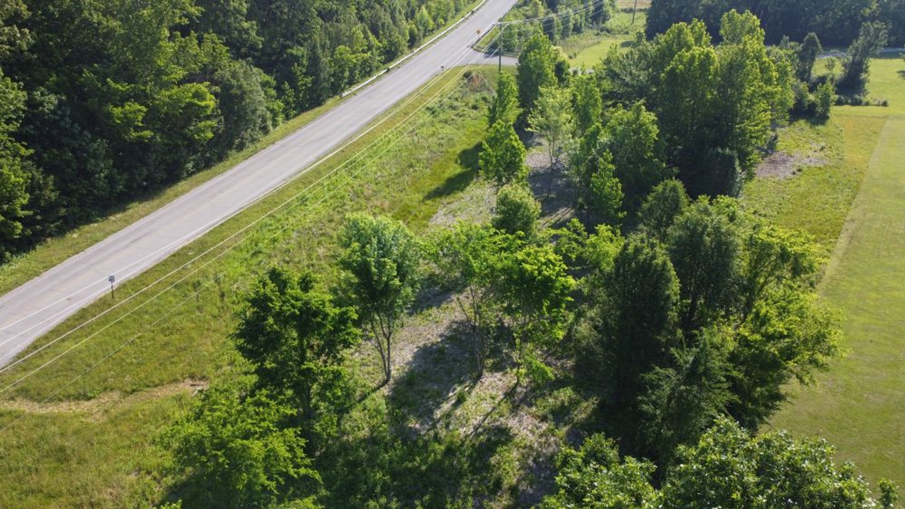 Image for Buildable Lot on Deer Ridge - Fairview / Pinewood area - 1.6 acres
