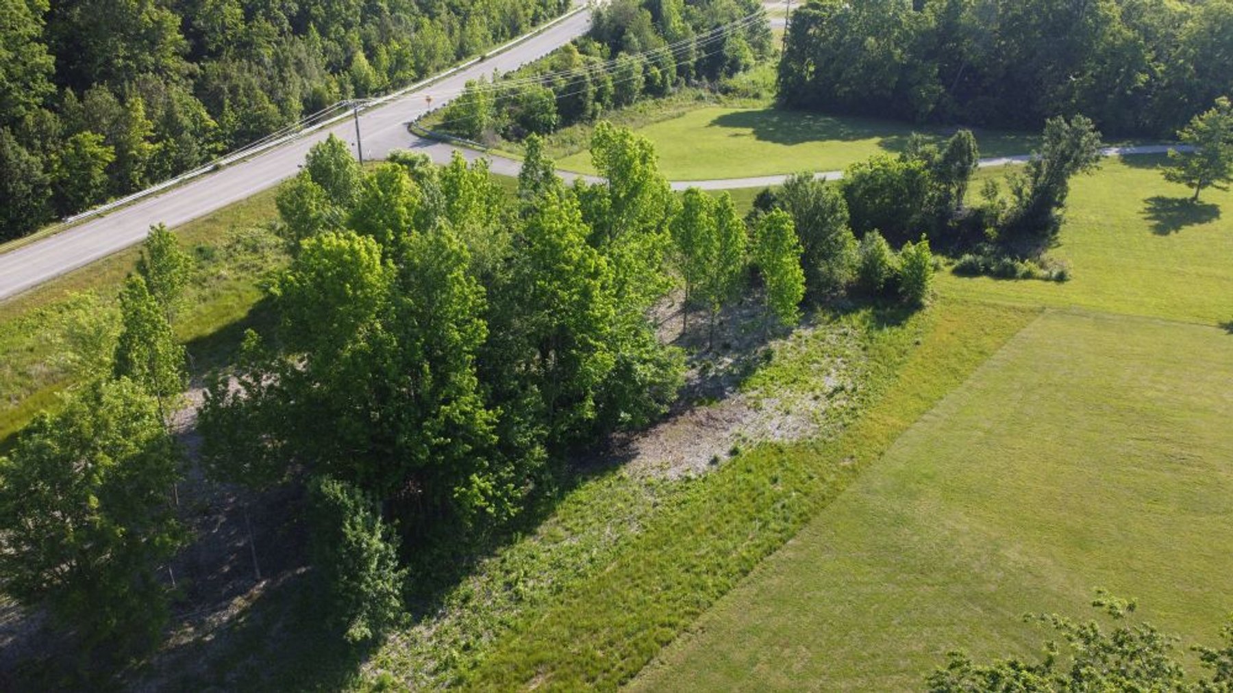 Image for Buildable Lot on Deer Ridge - Fairview / Pinewood area - 1.6 acres