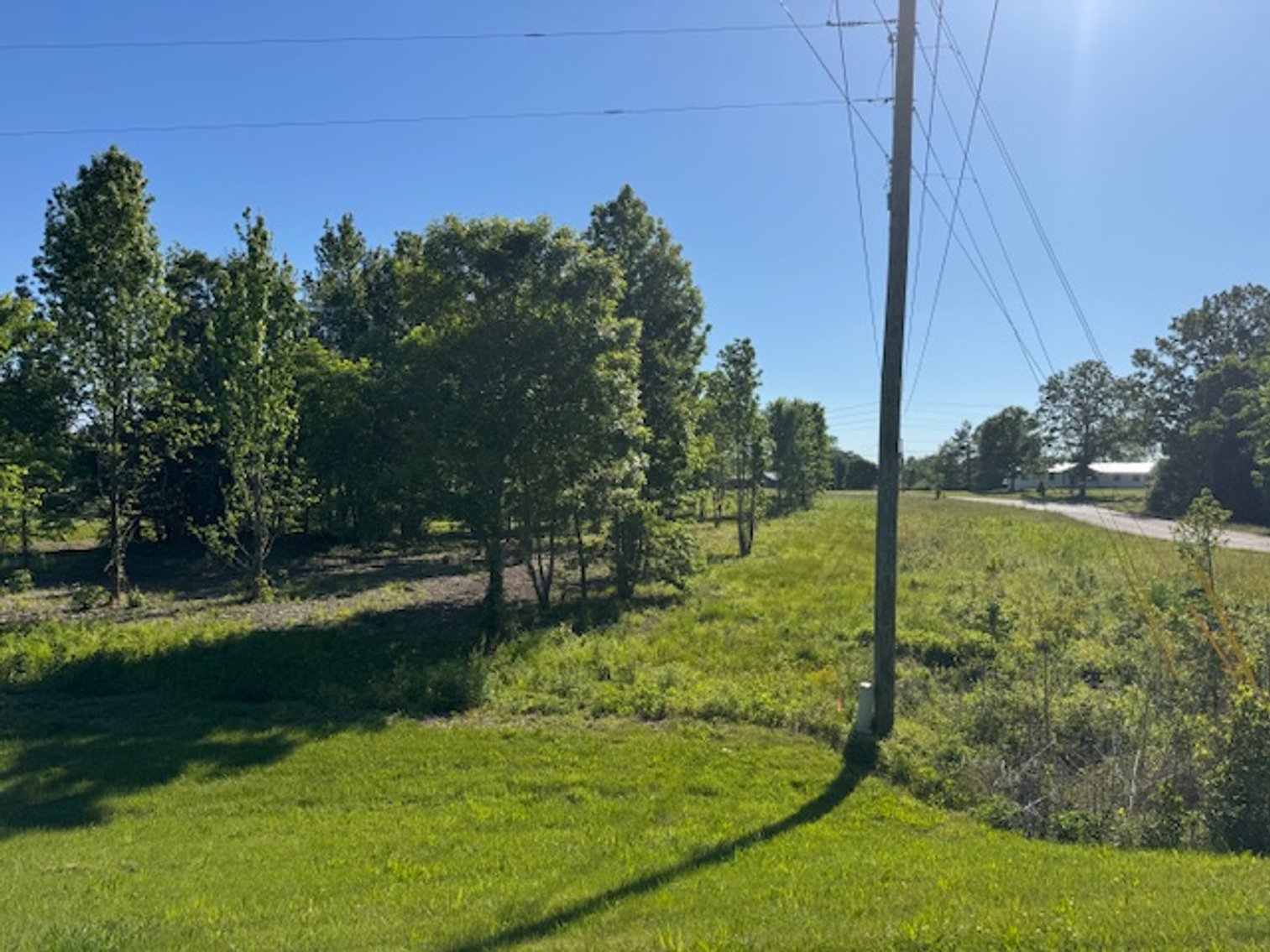 Image for Buildable Lot on Deer Ridge - Fairview / Pinewood area - 1.6 acres