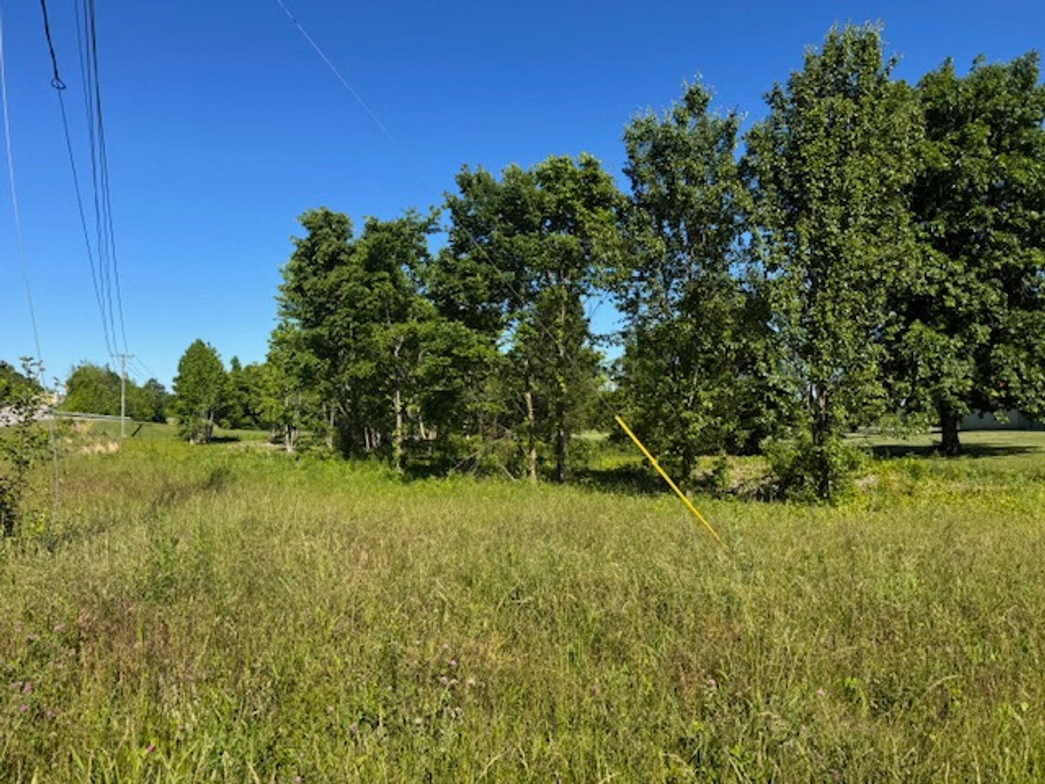 Image for Buildable Lot on Deer Ridge - Fairview / Pinewood area - 1.6 acres