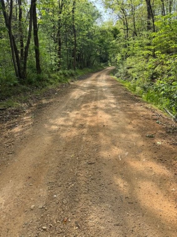 Image for 11.4 acres on Moss Spring Hollow Rd - City Water and Electric Service Lines cross the property