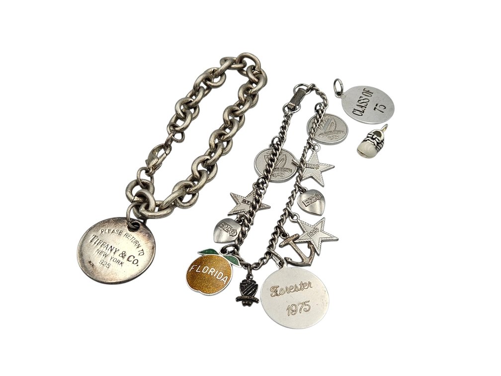 Sterling Charm Bracelet, and More Lot (V)