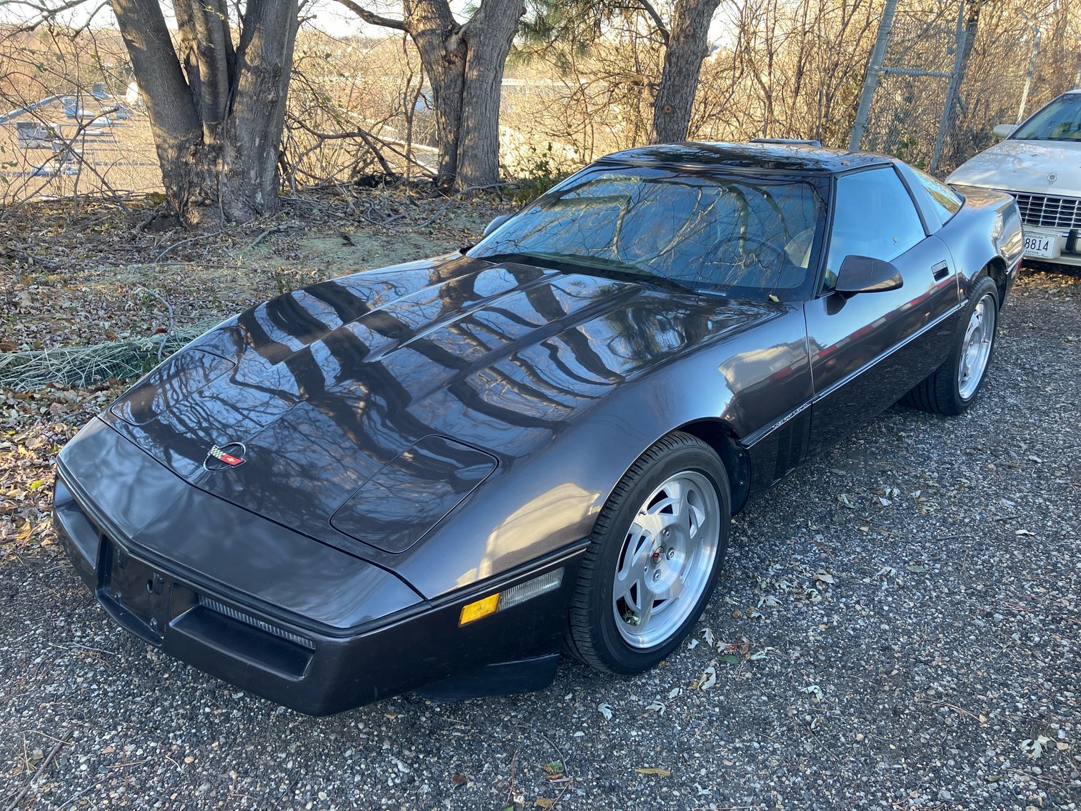 Image for January Dealer Inventory Reduction