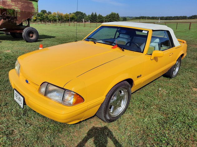 Image for Ediger Auctions Fall Consignment - Ring 1