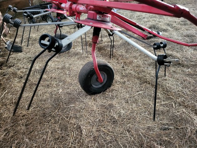 Image for Enorossi tedder