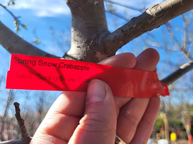 Image for 2