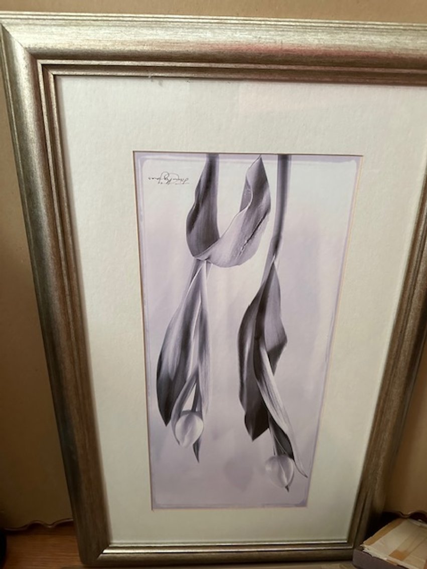 Image for 134 Adams St