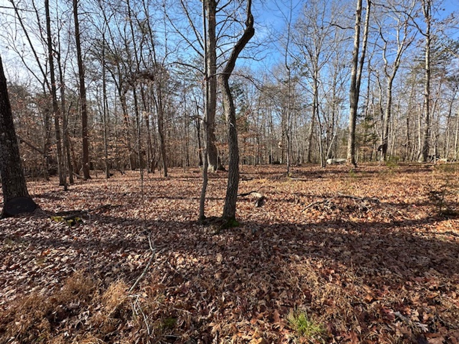 Image for 1590 Wray Rd., Stoneville, NC