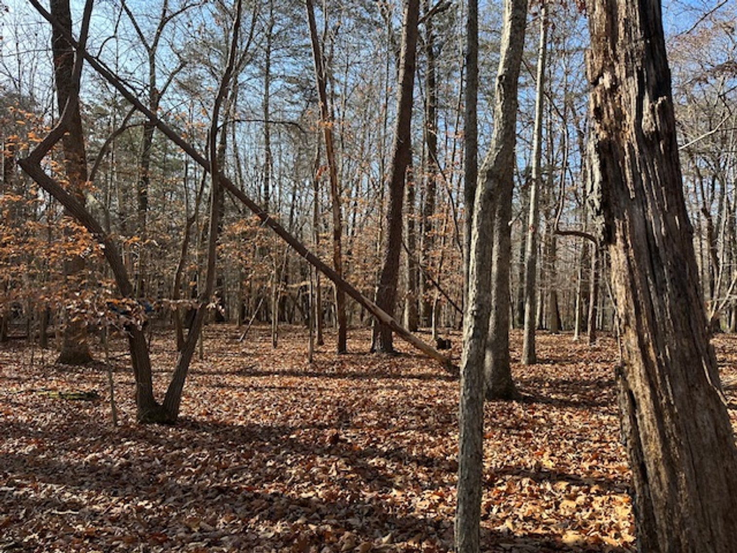 Image for 1590 Wray Rd., Stoneville, NC