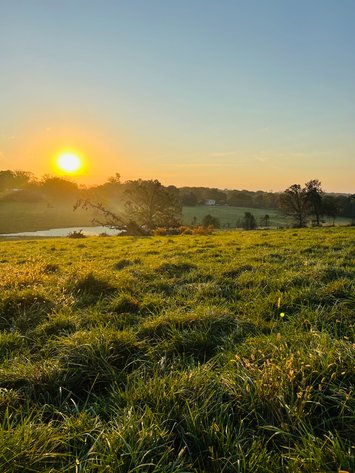 Image for Howell County Land Auction