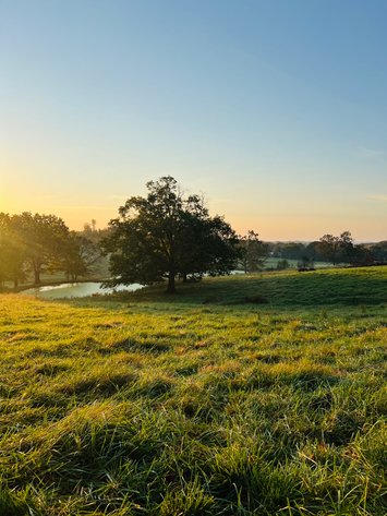 Image for Howell County Land Auction