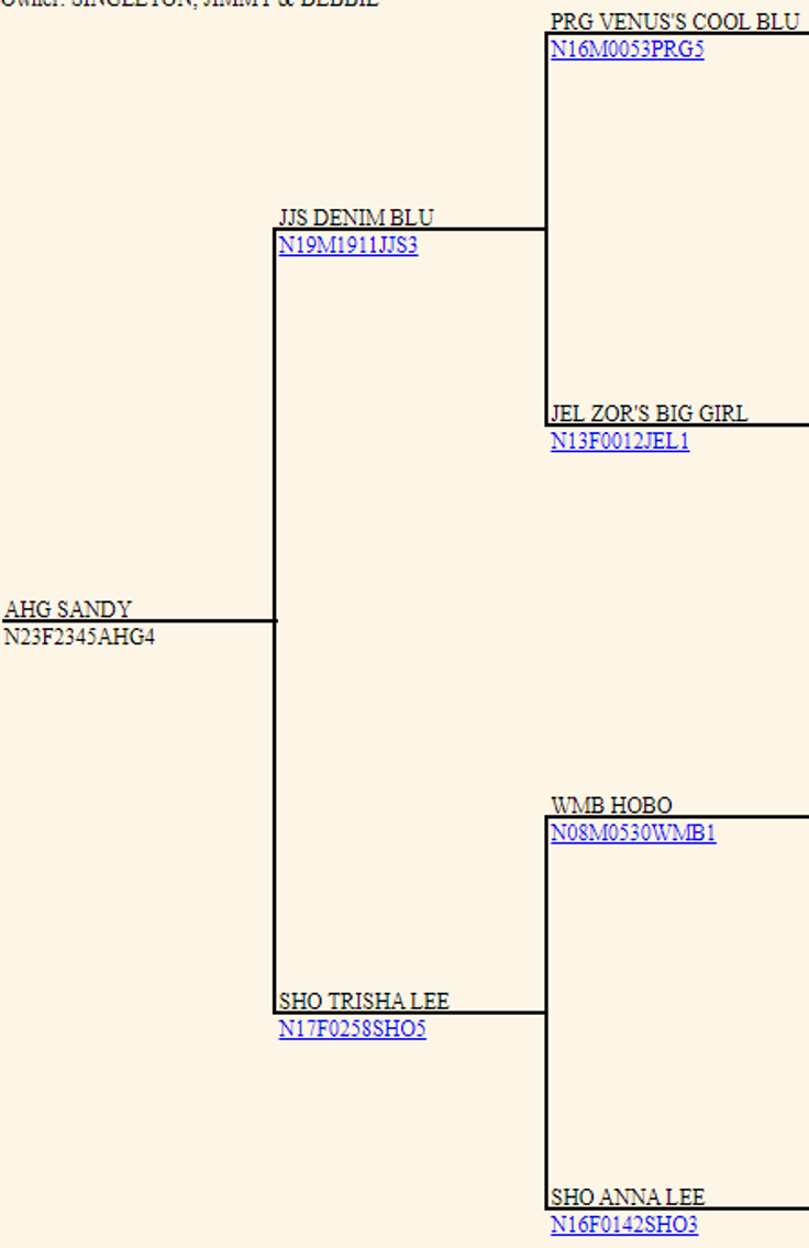 Image for 2024 | Appalachian Kiko Invitational