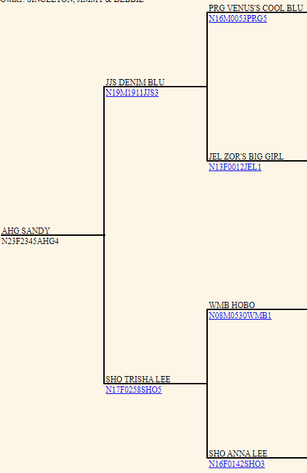 Image for 2024 | Appalachian Kiko Invitational