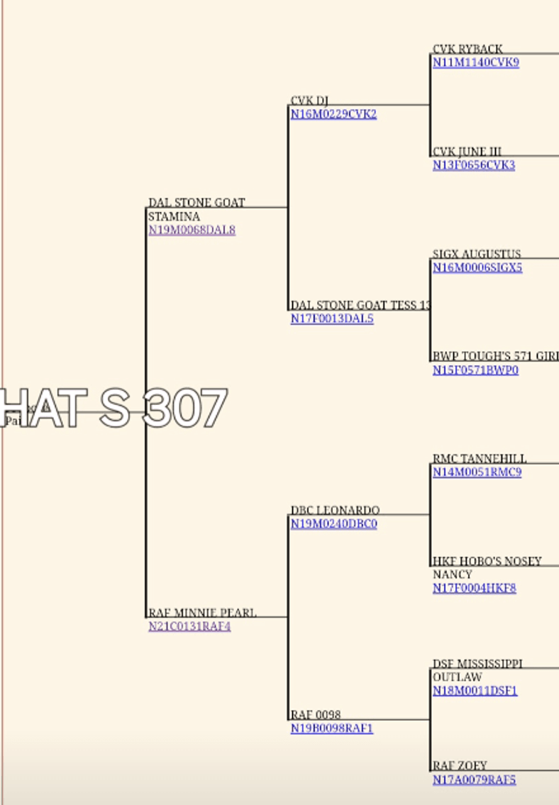 Image for 2024 | Oklahoma Hills Invitational Sale