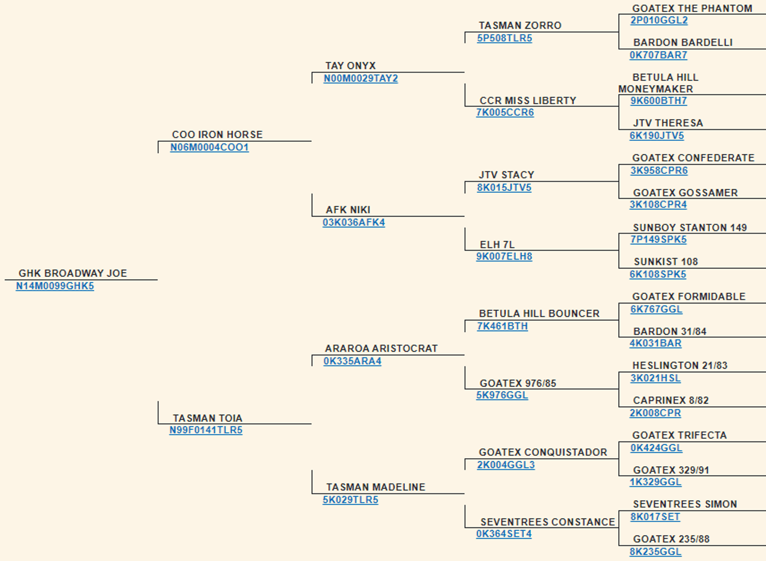 Image for 2024 | BOYS OF FALL