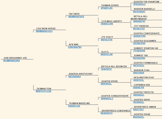 Image for 2024 | BOYS OF FALL