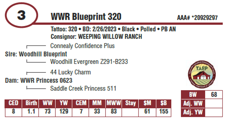 Image for 2024 | Platinum Alliance All Breed- Bull & Female Sale