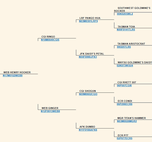 Image for 2025 | Weber Farms- March Madness