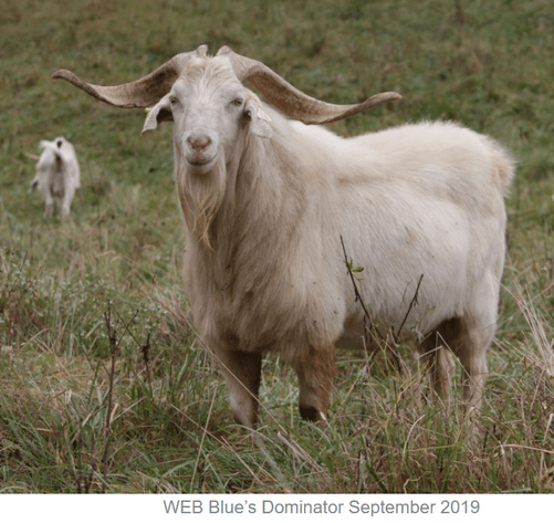 Image for 2025 | Weber Farms- March Madness