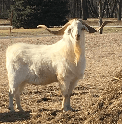 Image for 2025 | Weber Farms- March Madness