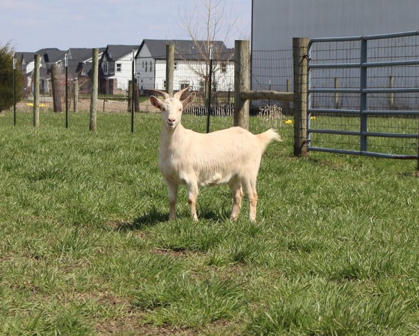 Image for 2025 | Mountain Premier Invitational