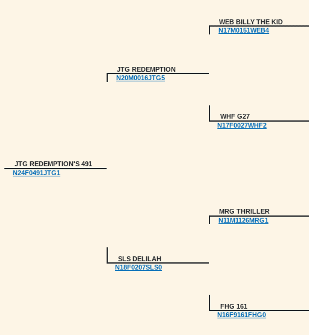 Image for 2025 | Bluegrass Performance Invitational