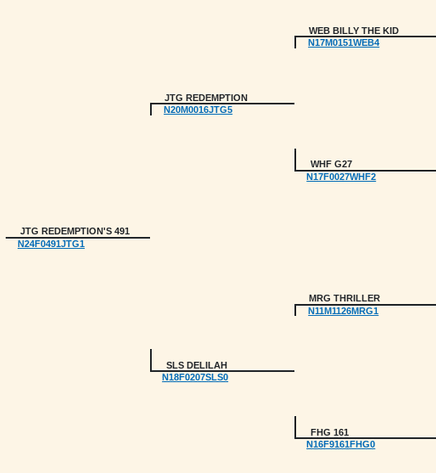 Image for 2025 | Bluegrass Performance Invitational