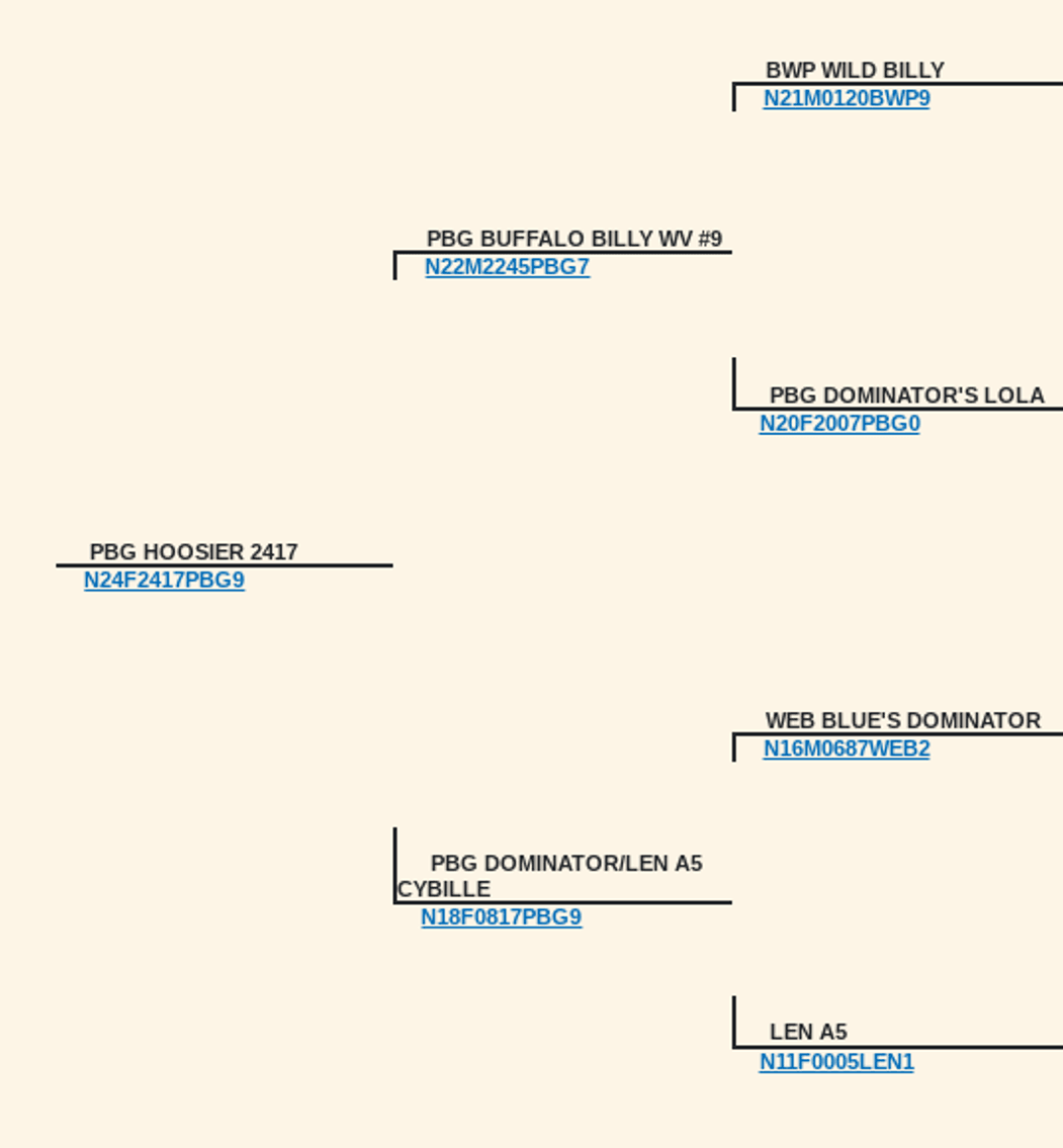 Image for 2025 | Bluegrass Performance Invitational